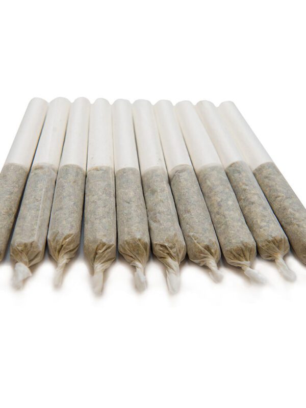 mango-haze-pre-rolls-montrose