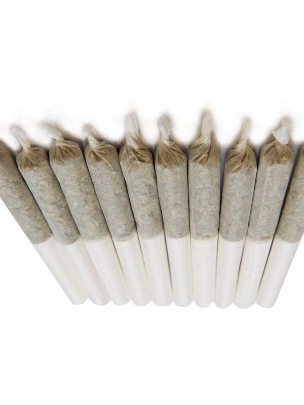 Mango Haze 2:1 CBD Pre-Rolls 10 Pack (10x0.35g) – Color | Montrose