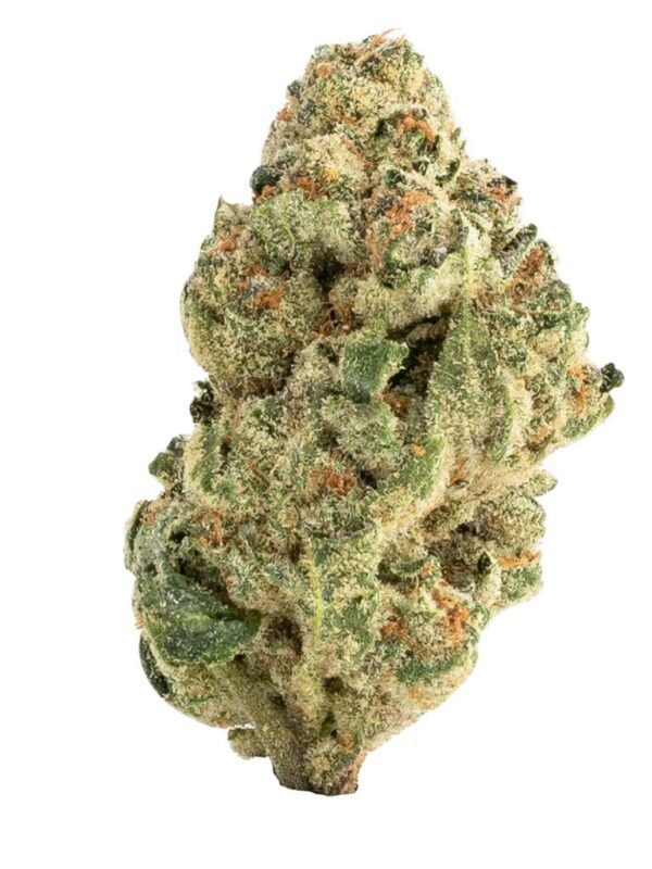 The Loud Plug exotic gas 28g Montrose Cannabis