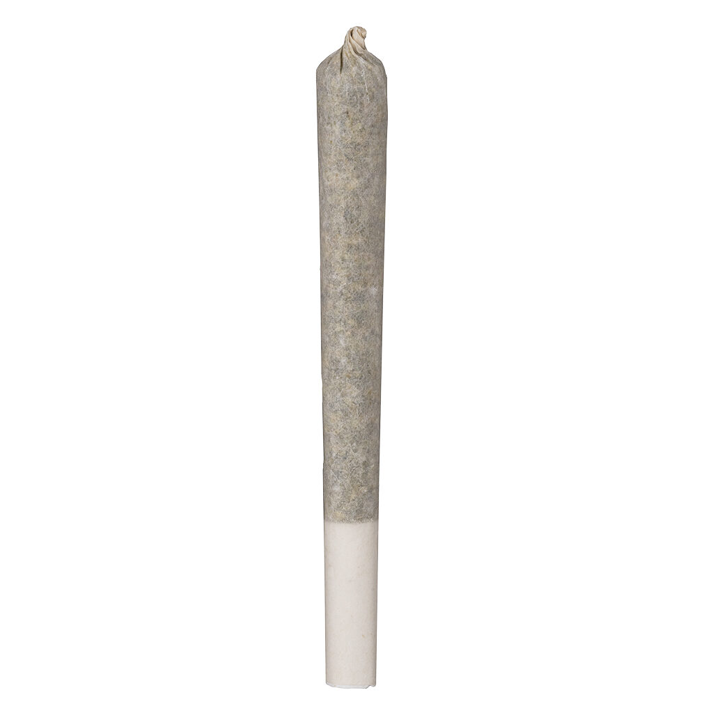 XK XKOALA Pre-Rolls 10x0.5g | Hybrid | Montrose Cannabis