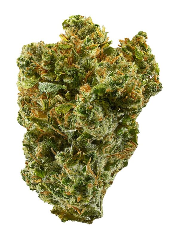 Super Silver Haze 14g <br>Sativa <br>33.6% | 2.53% Terps
