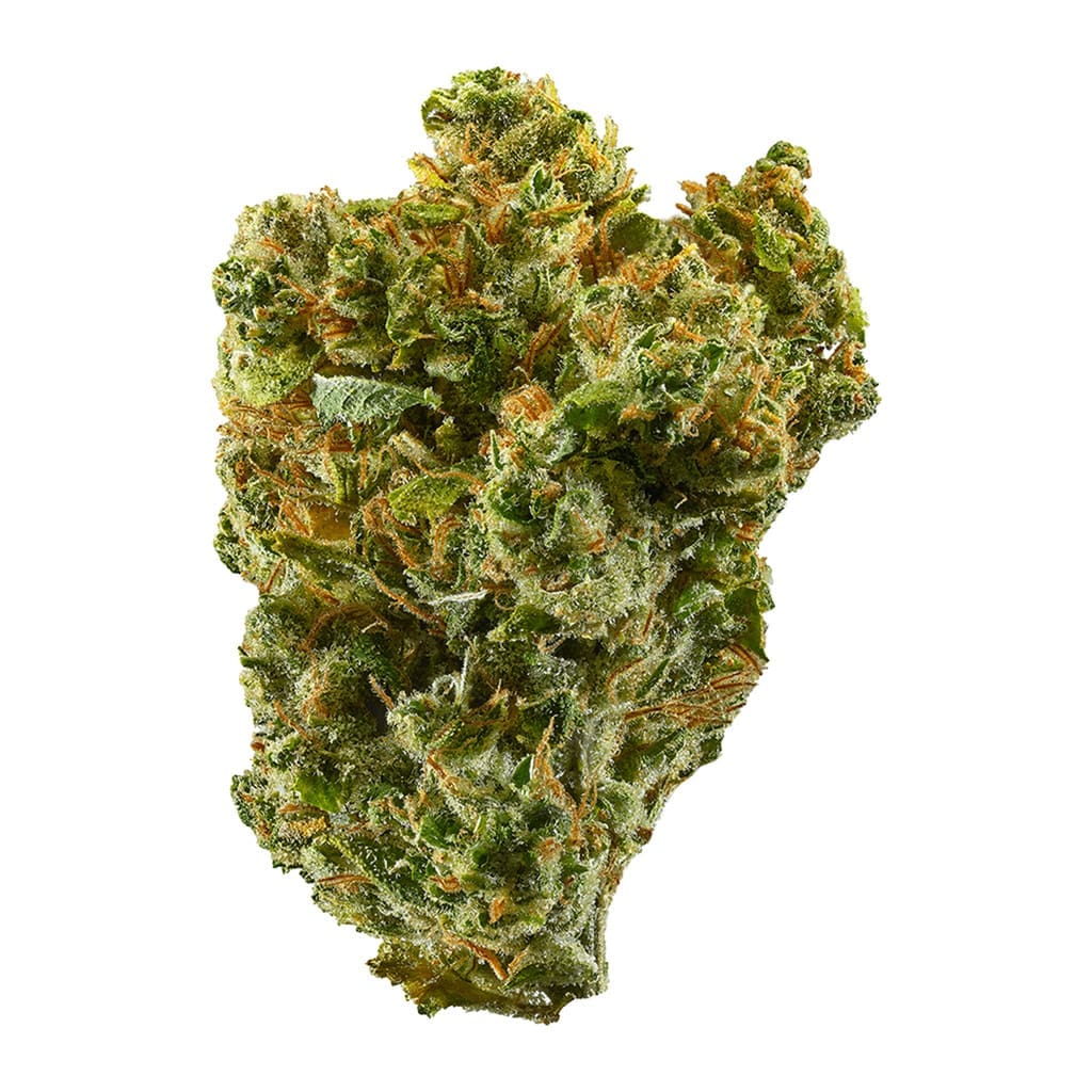 Photographie source: Super Silver Haze