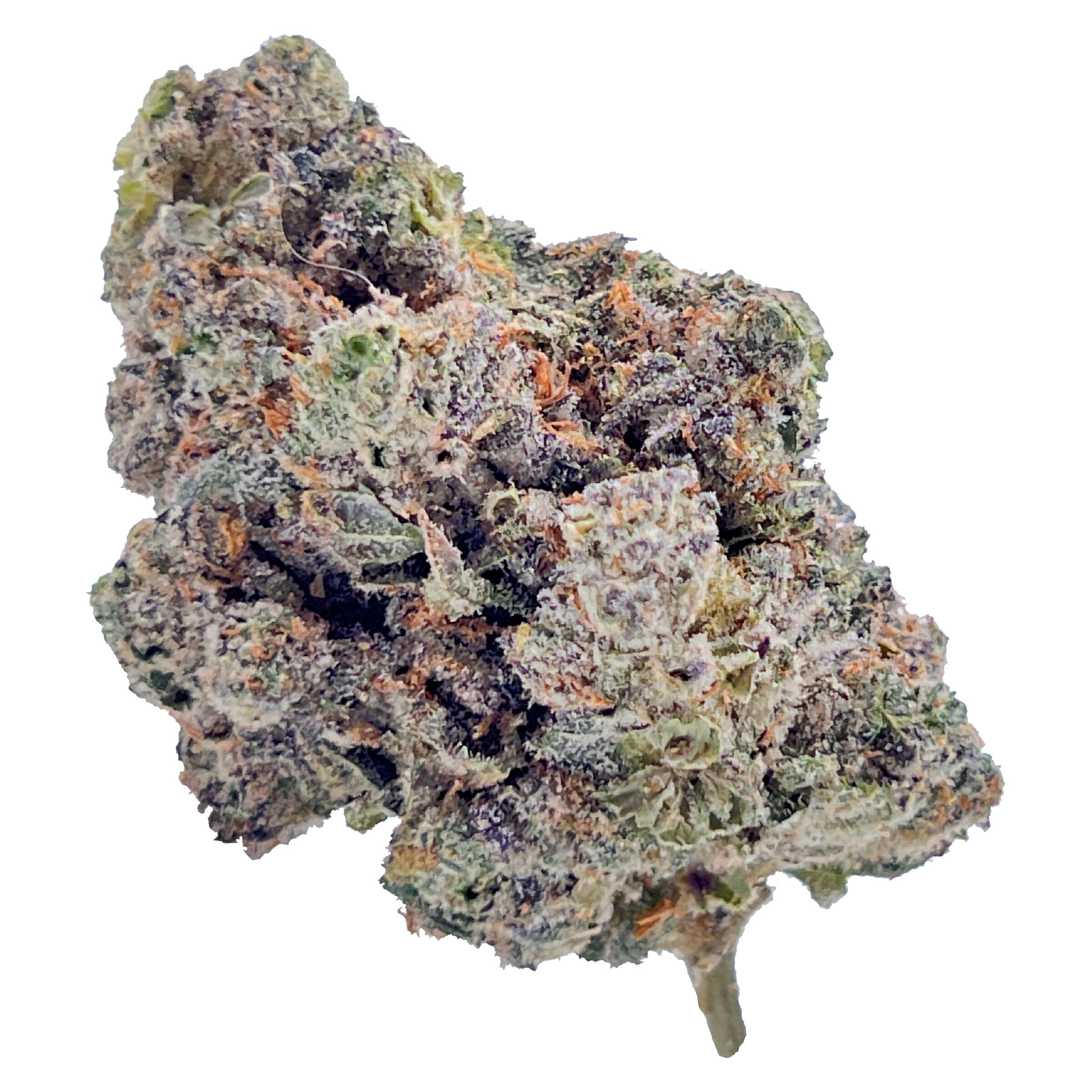 HighXotic Royal Dive #4: Goofiez 3.5g | Indica | Montrose Cannabis