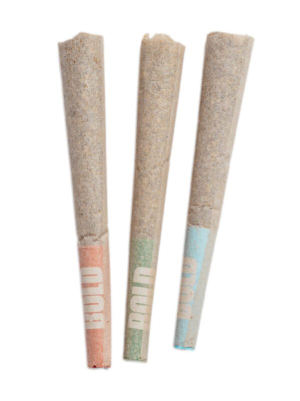 BOLD Craft Sampler 3pk Pre-Rolls Montrose Cannabis