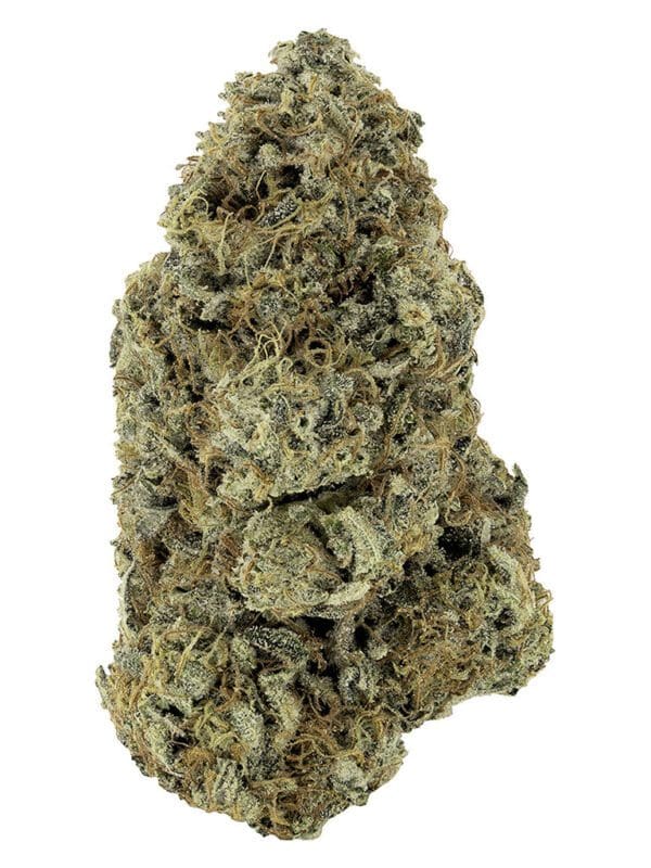 Woody Nelson Payload (14g) Montrose Cannabis