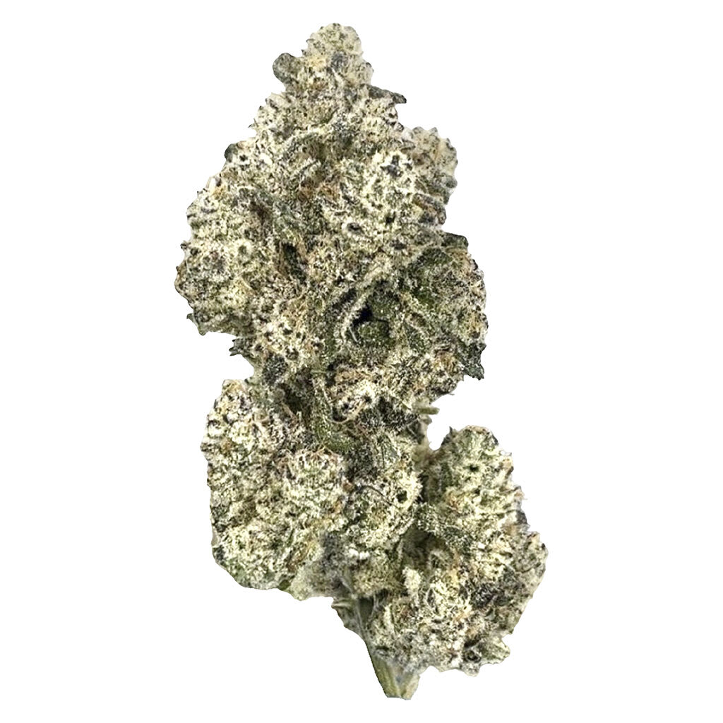 HighXotic Royal Dive #5: Purple Zombie 3.5g | Indica | Montrose