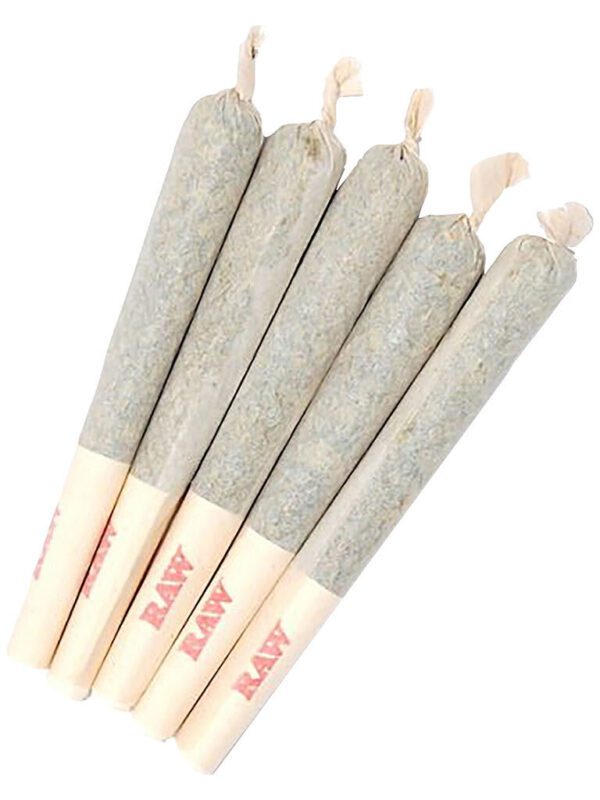 Sixty seven sins gary satan pre rolls 7 pack montrose cannabis