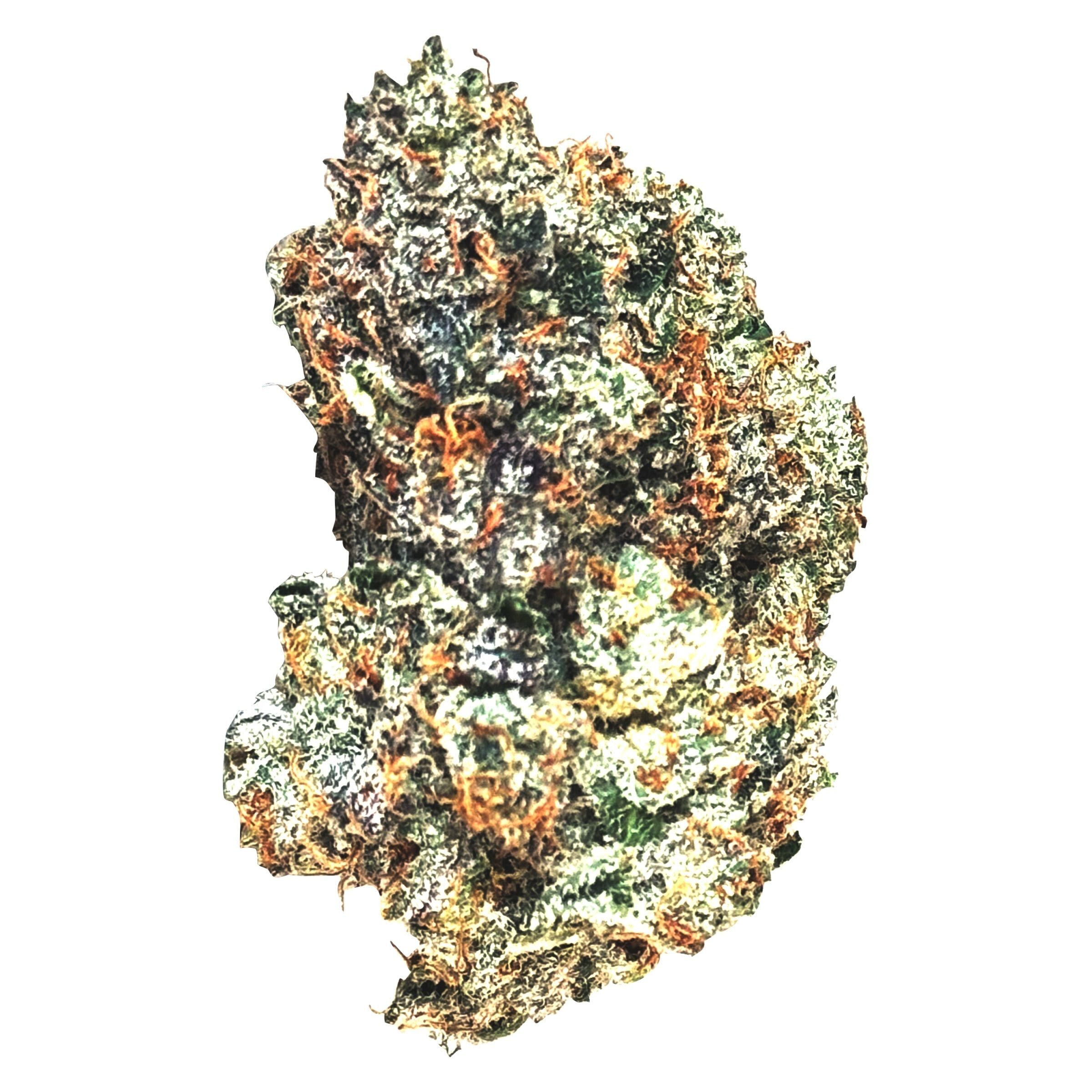 Gas N' Up 3.5g Indica 30.3% | 4.17% Terps | Montrose Cannabis