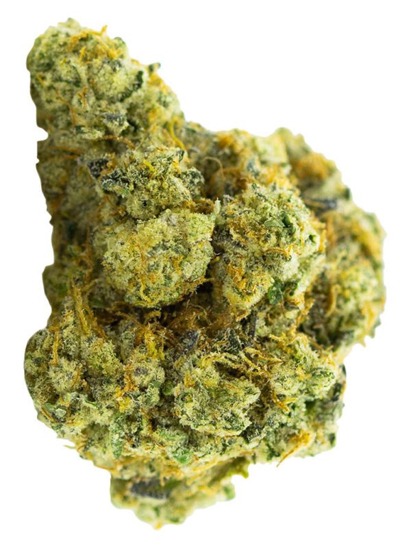 Animal Face Cookies 14g Carmel