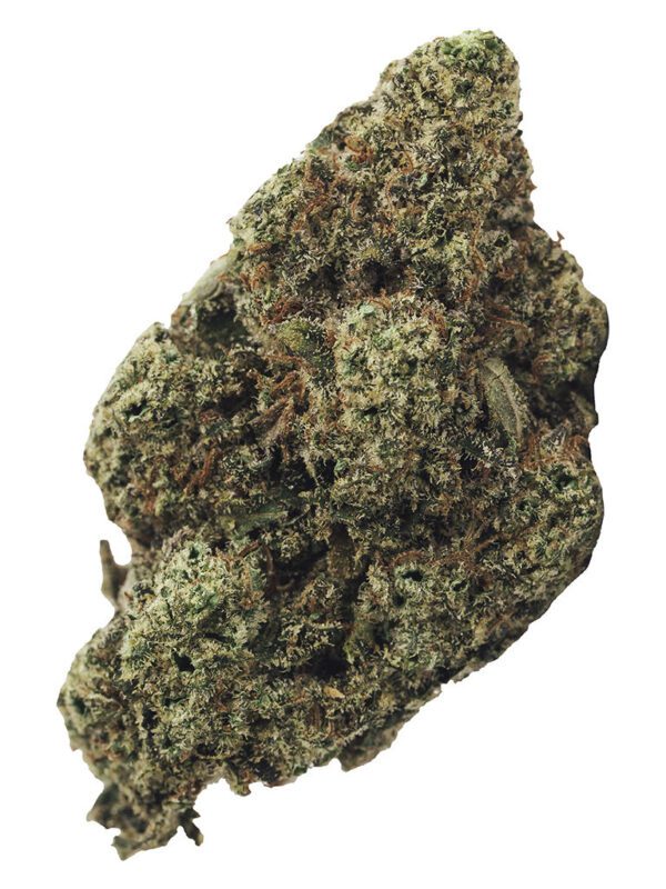 Munyunz 3.5g by BOLD