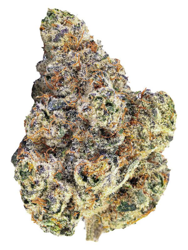 Blue Pavé 7g by BLKMKT