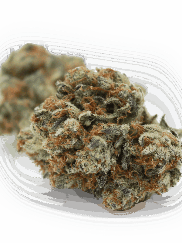 Chopper's Pick 28g by EastCann