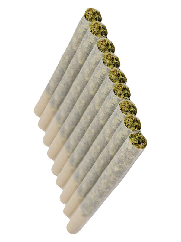 CBD Super Lemon Haze Pre-Rolls 10 Pack by JOI Botanicals