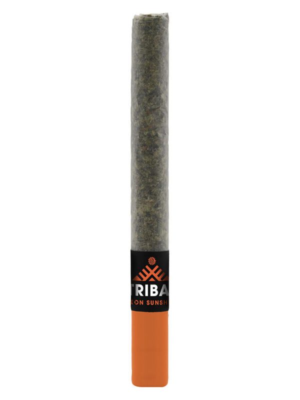Neon Sunshine Ceramic Tip Pre-Roll Single <br>Hybrid <br>29.8% | 3.20% Terps