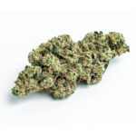 first-class-gas-strains-montrose-cannabis