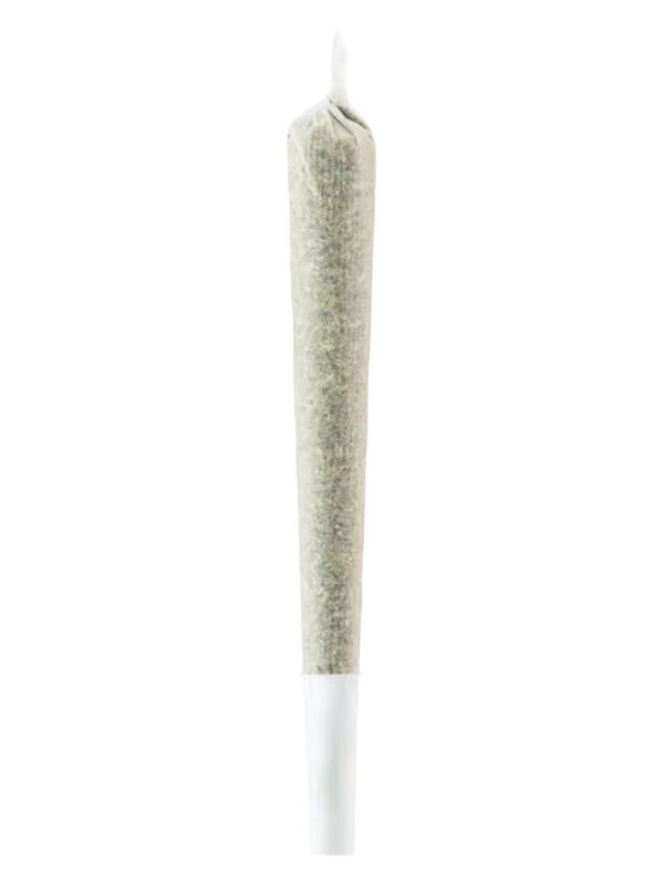Indica Baseball Bat Pre-Roll Single by CHUB'S