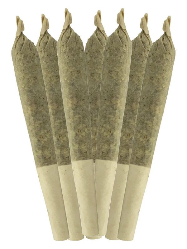 Bluefin Tuna Pre-Rolls 7 Pack by Sheeesh!