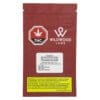 HempStick: Warming Cinnamon Ginger 30g by Wildwood Labs