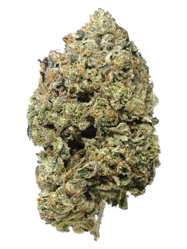 Pink Goo 14g by Pistol and Paris