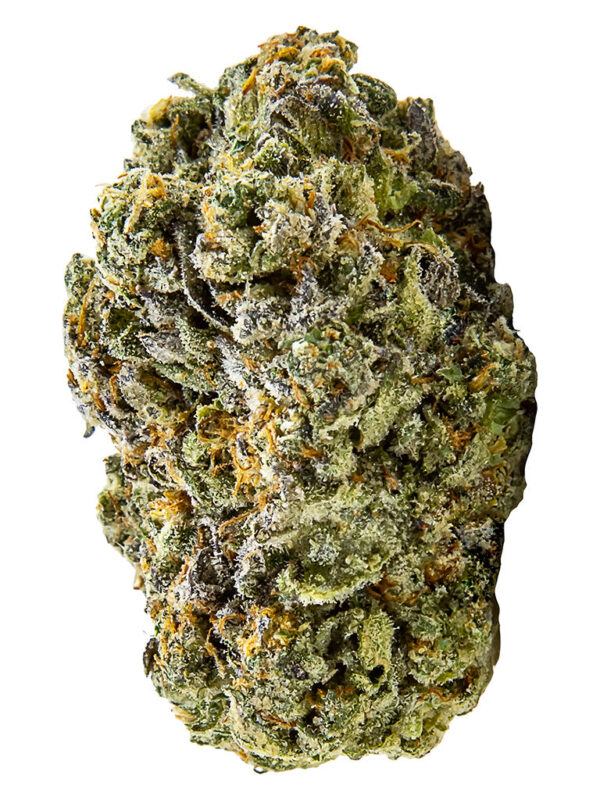 Jack Herer Jamboree Budskis 3.5g by Chillbilly