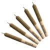Tiger Blood Distillate Infused Pre-Rolls 5 Pack by General Admission