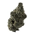Block Lobster Unit 15 Hybrid Montrose Cannabis