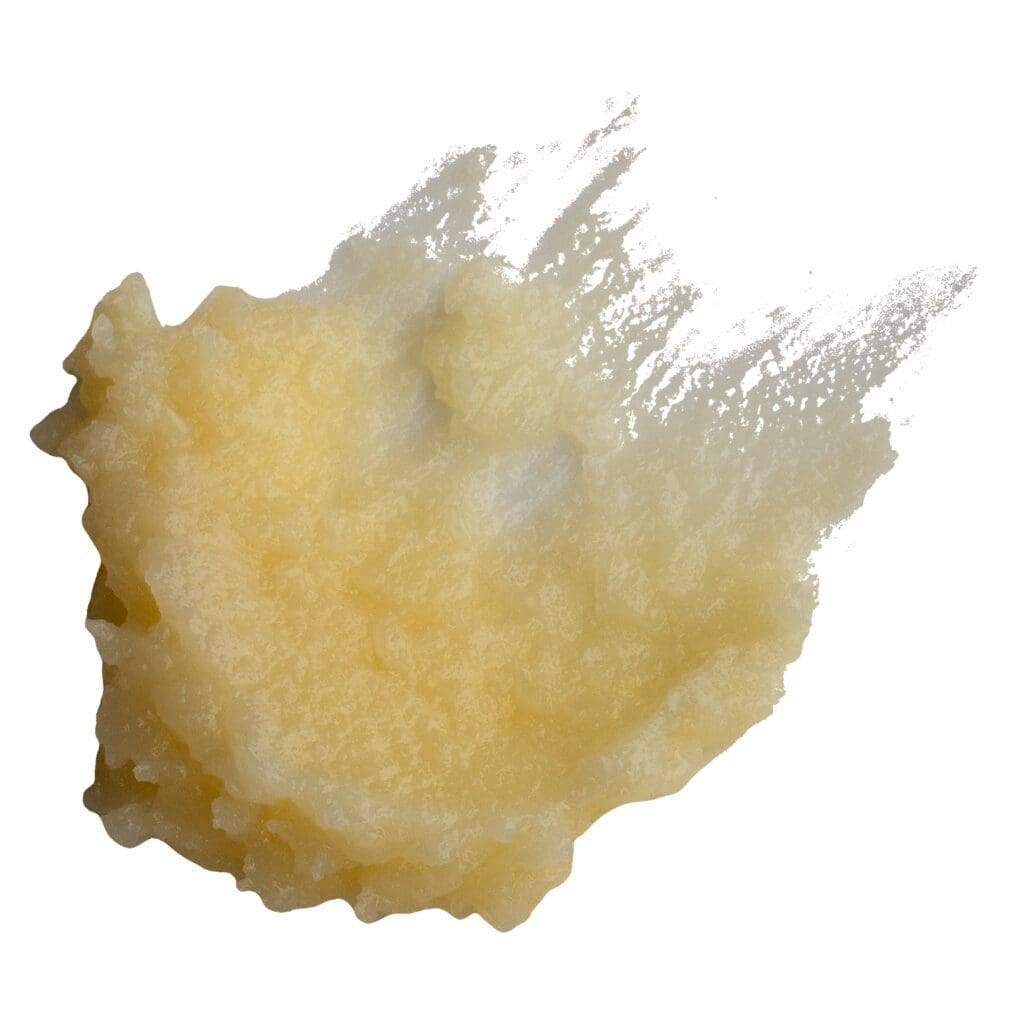 Source photograph: Arnica Skin Repair Balm