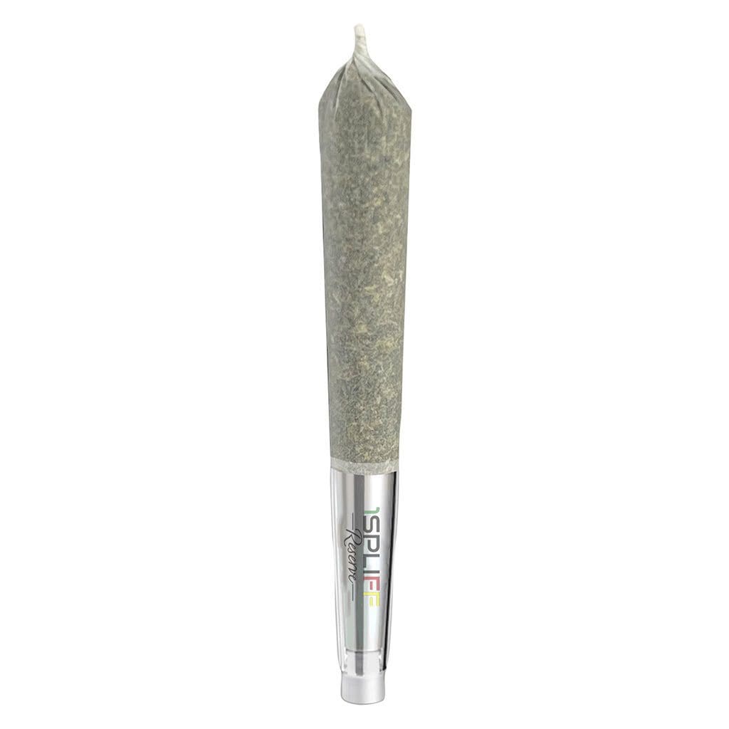 Source photograph: Quantum Kush Premium Glass Tip Pre-Rolls 5 Pack