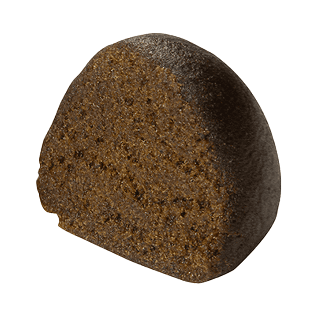 Source photograph: Aged Sticky Hash
