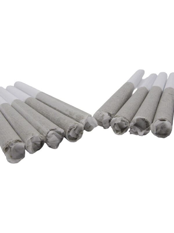 Glueberry OG Pre-Rolls 10 Pack <br>Hybrid <br>33.9%  | 2.23% Terps