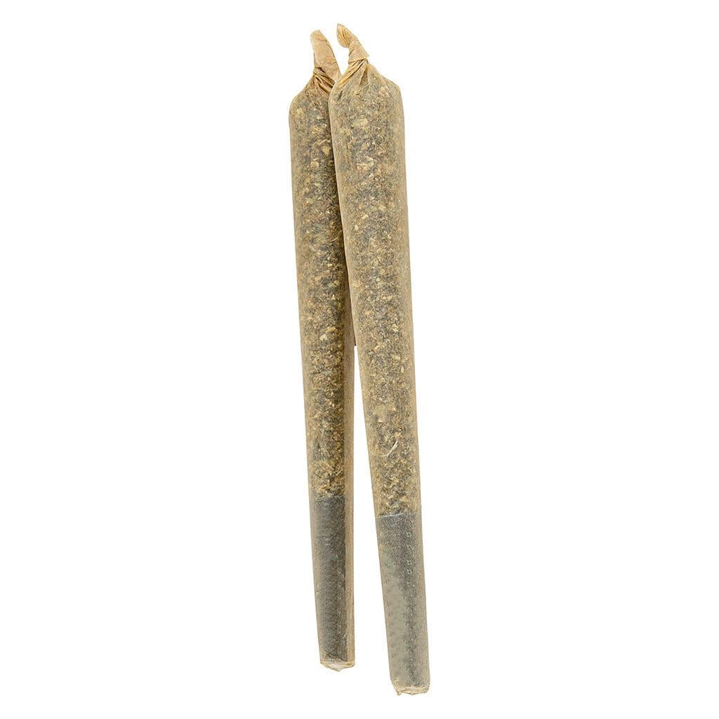 Source photograph: Indica Schmindica