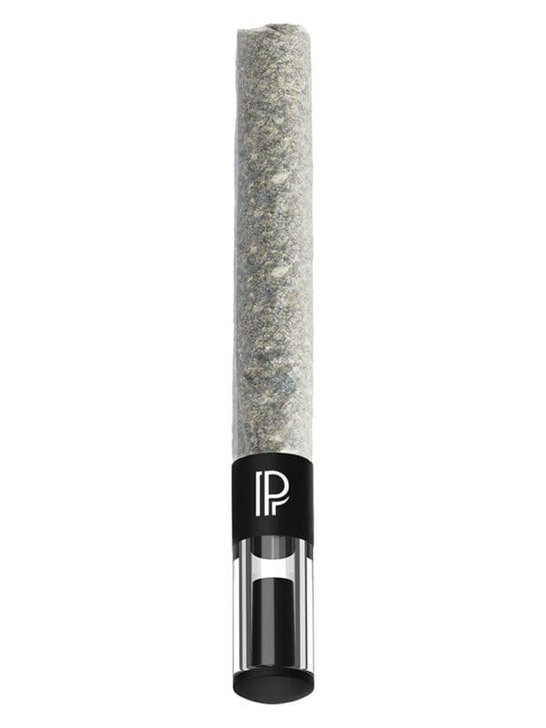 Pink Death Pre-Roll Single | Pistol and Paris 2g Indica