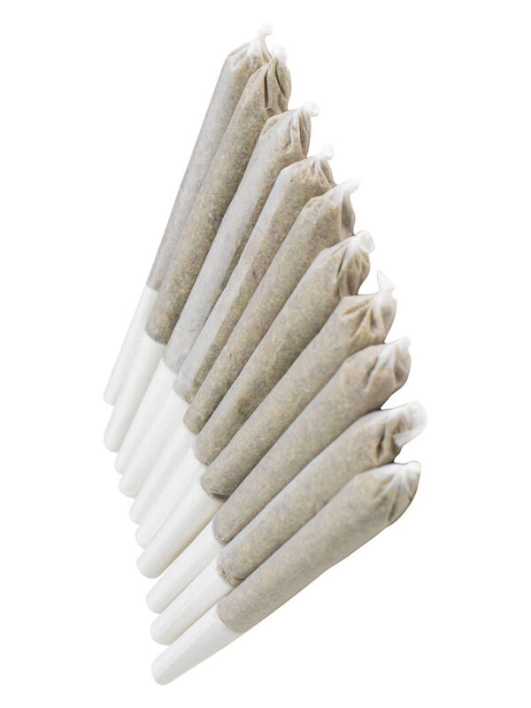 Gastro Pop Pre-Roll 10 Pack | EastCann | Multi-Pack | Montrose