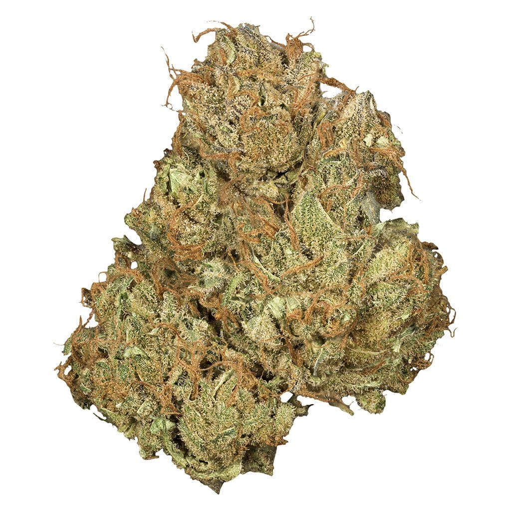 Source photograph: <br>Sativa <br>