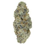 Perma Fried 14g premium indica dominant cannabis flower by Pistol and Paris, available for local delivery from Montrose Cannabis.
