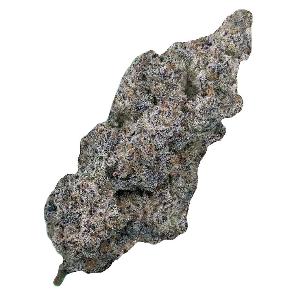Source photograph: Truffaloha