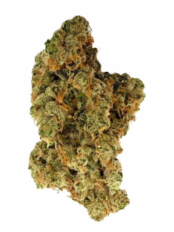 Lamb of God 7g Flower – Headstone Cannabis Sativa | Montrose