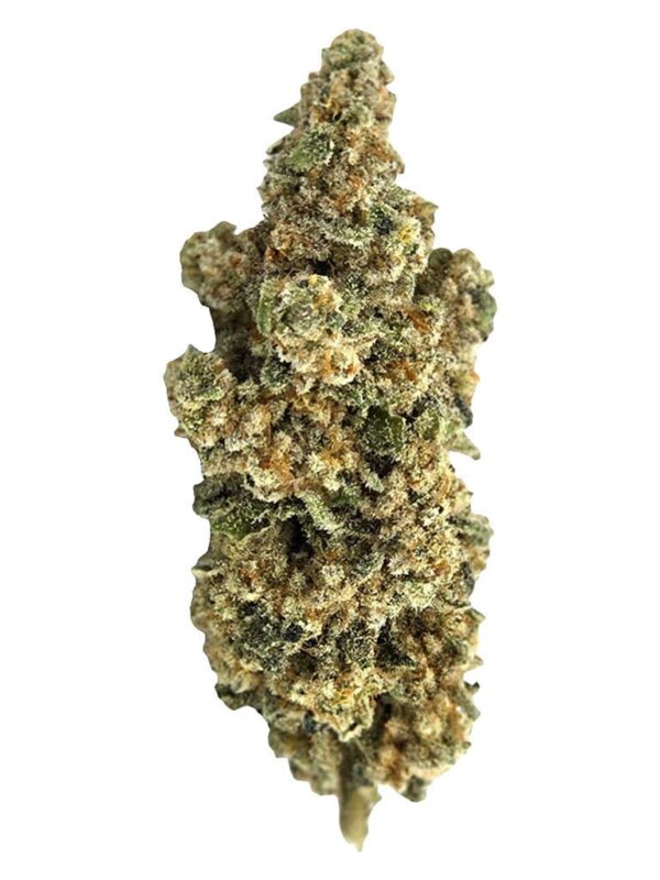 Cosmic Cookies 7g Dried Flower – Truro Cannabis | Montrose