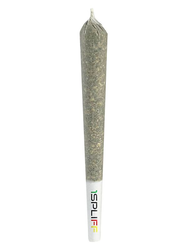 Creativity Pre-Roll Single 1x1g – 1Spliff Pre-Rolls | Montrose Cannabis