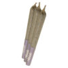 CBG Infused Mango 1:1:1 Pre-Rolls - Abide - CBD