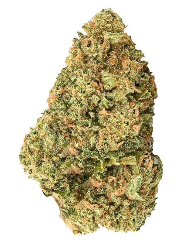 Mystery Gram Sativa Craft Dried Flower 1g – Fern | Montrose