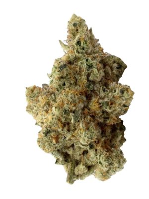 Animal Junky Premium 14g Big Bag - Seaweed | Montrose Medical