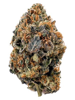 BLK MKT Rainbow Sherb 3.5g – Flower | Montrose Cannabis