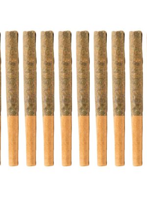 Black Widow CBD Pre-Rolls 10 Pack | Divvy | Montrose Medical