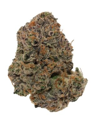 Exclusives 7g Hawaiian Snow x Tex F2 Hybrid by BLK MKT _ Montrose Cannabis