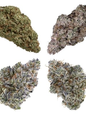 Four Flower Flight 14g by Tribal - Hybrid - Montrose Cannabis