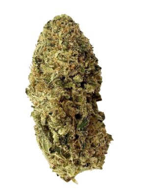 Lemon Cake Pop Flower 3.5g - Headstone Cannabis | Montrose Medical