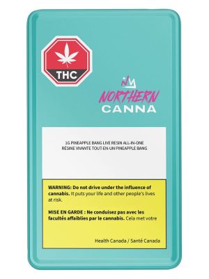 Pineapple Bang Live Resin Disposable Vape 1g – Northern Canna