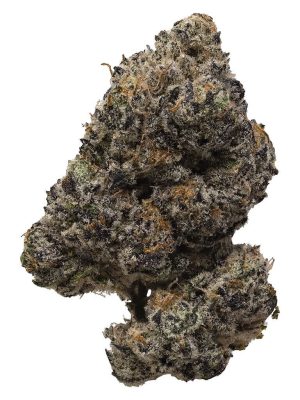 Pink Rockstar 7g Flower – Pistol and Paris Indica | Montrose