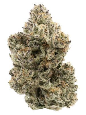 The Collective Oz 28g Northern Canna Indica Montrose Cannabis